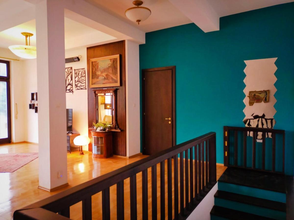 Villa & Spa 4Temporadas - Plaiul Foii Zărneşti Exteriör bild