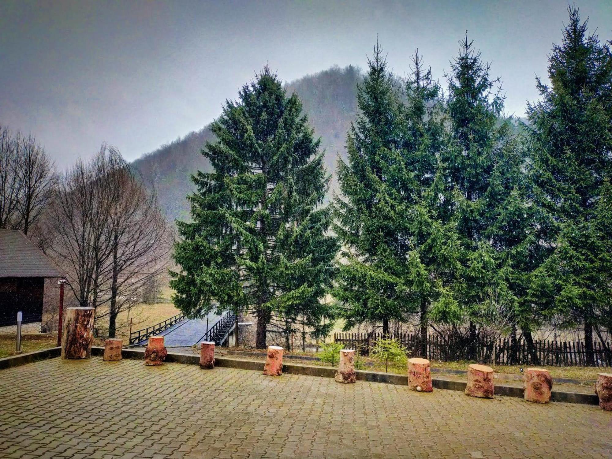 Villa & Spa 4Temporadas - Plaiul Foii Zărneşti Exteriör bild