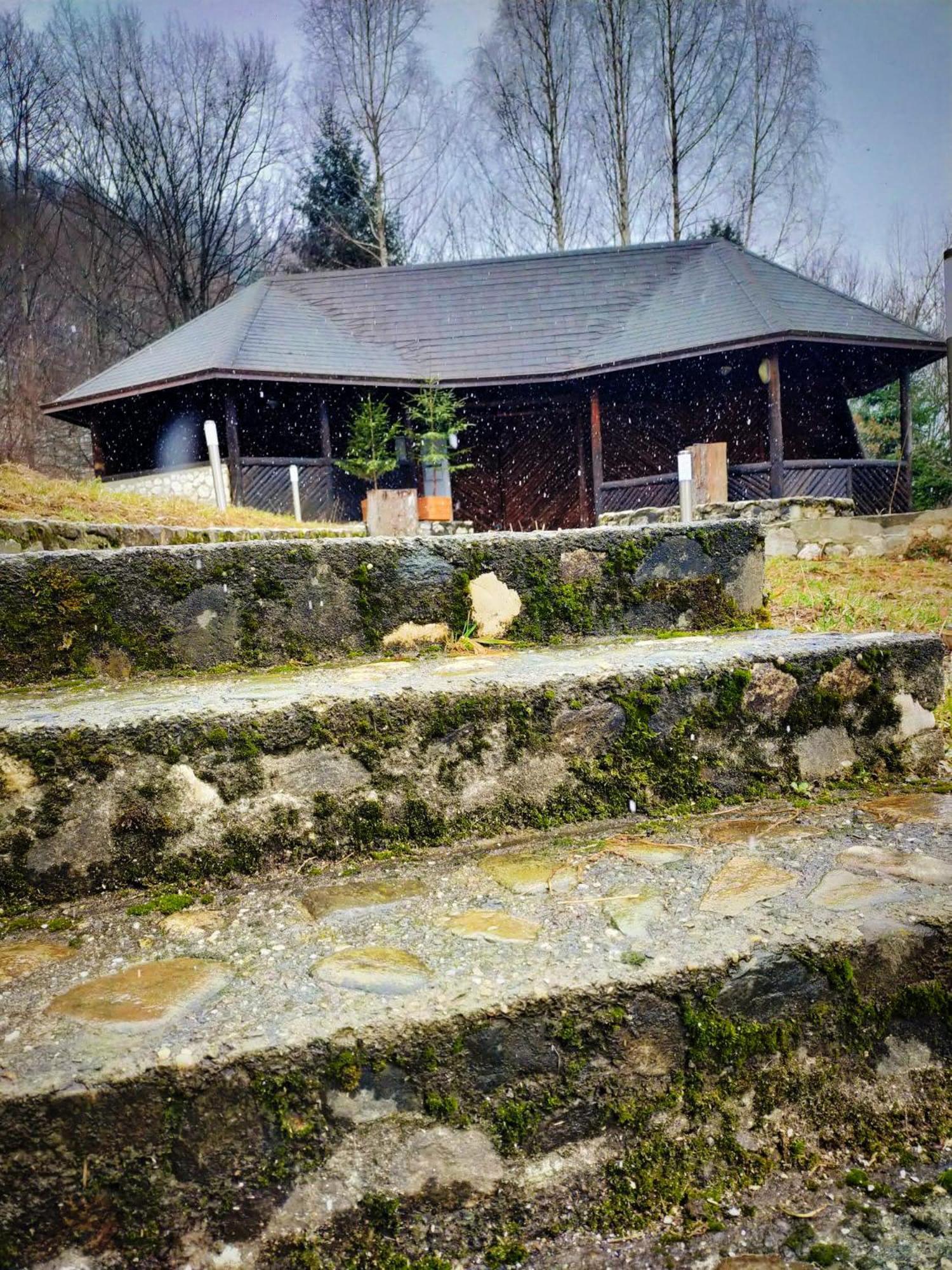 Villa & Spa 4Temporadas - Plaiul Foii Zărneşti Exteriör bild