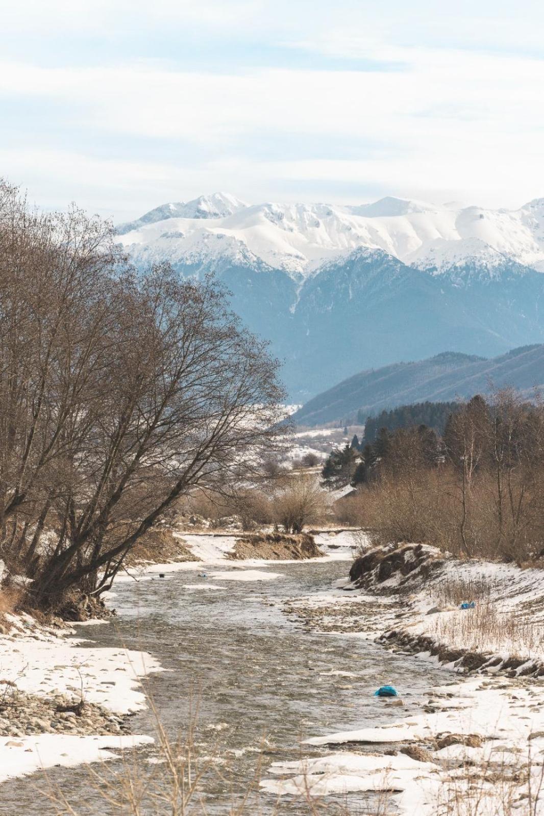 Villa & Spa 4Temporadas - Plaiul Foii Zărneşti Exteriör bild